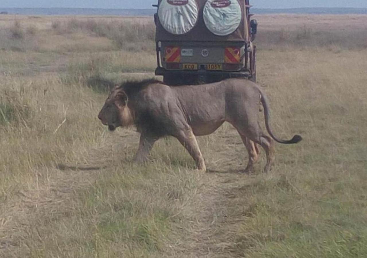 Aa Lodge Maasai Mara Talek Exteriér fotografie