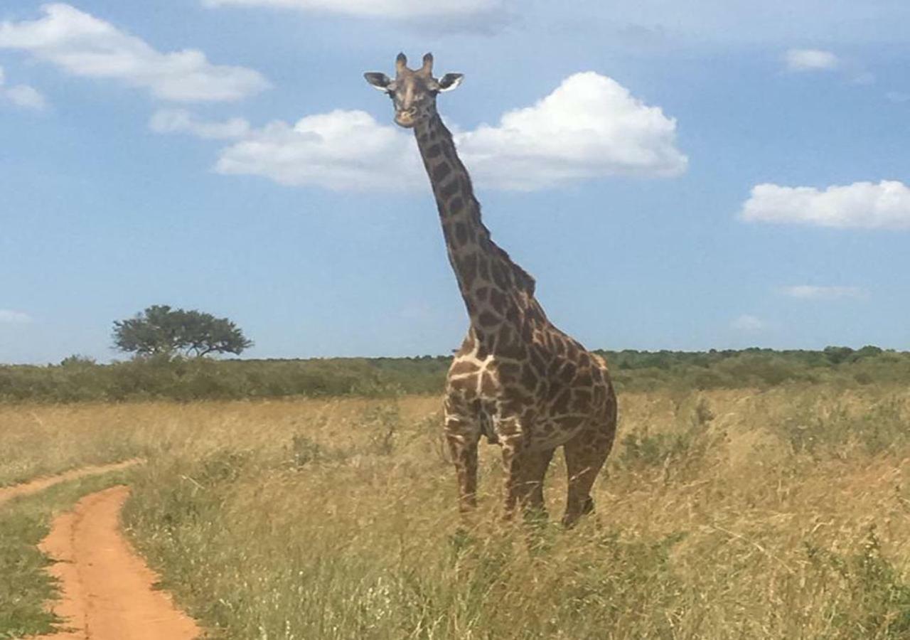 Aa Lodge Maasai Mara Talek Exteriér fotografie